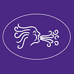 KAMER Vakfı